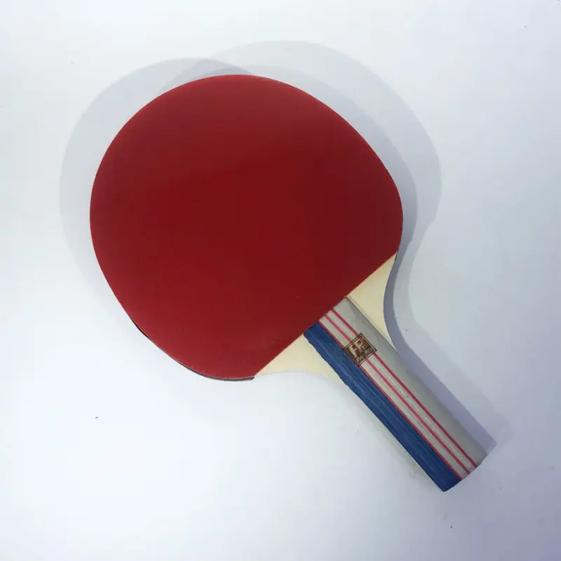 Pro Pro Mini Table Tennis Paddle