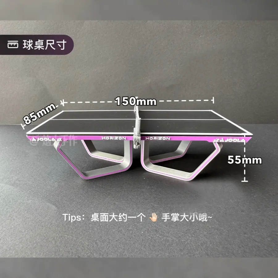 【2025 WTT】Commemorative Mini Table Tennis Table