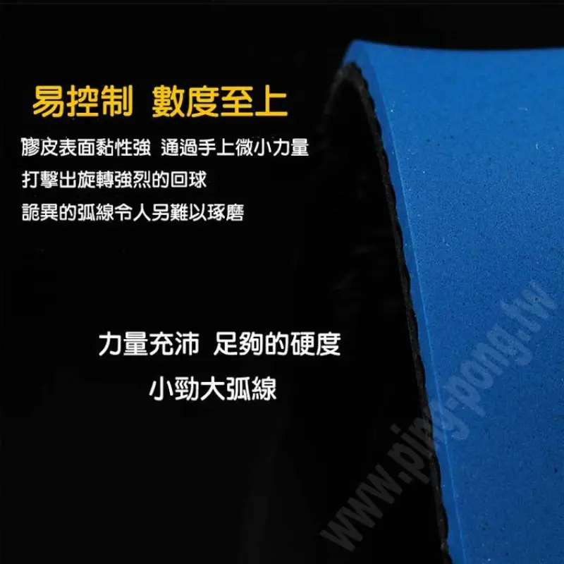 729 Pentium 2 – Provincial-grade (Blue sponge) Photo 4