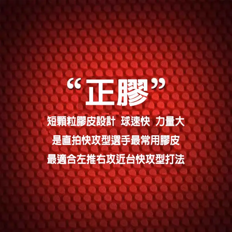 729 傳奇 LEGEND 802 短顆粒套膠【公司貨】 圖 5