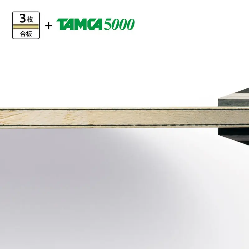 BUTTERFLY 波爾 TIMO BOLL TJ FL Photo 5