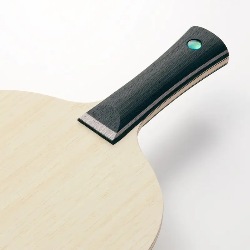 BUTTERFLY 波爾 TIMO BOLL TJ FL Photo 3